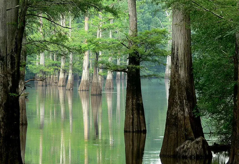 White River in Arkansas