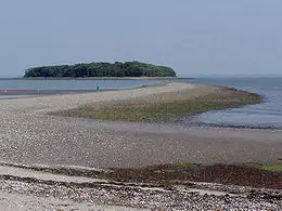 Charles Island at Low Tide