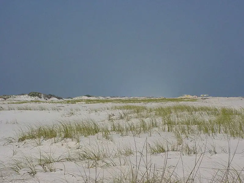 Santa Rosa Island Dunes Florida