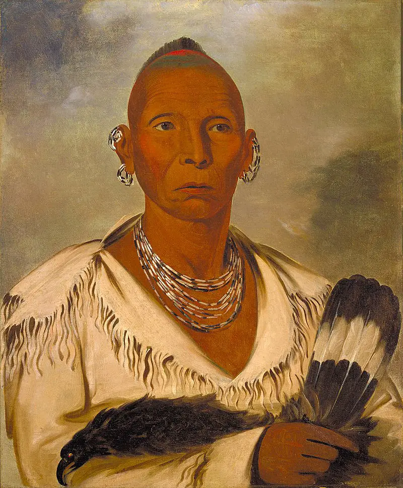 Chief Black Hawk of the Sauk Nation