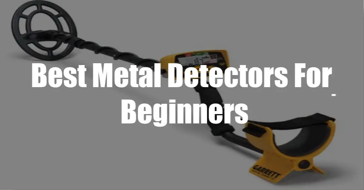 Best Metal Detectors For Beginners