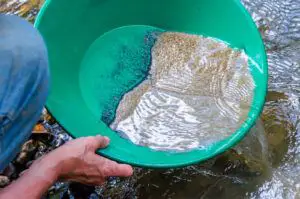 Gold panning in a stream