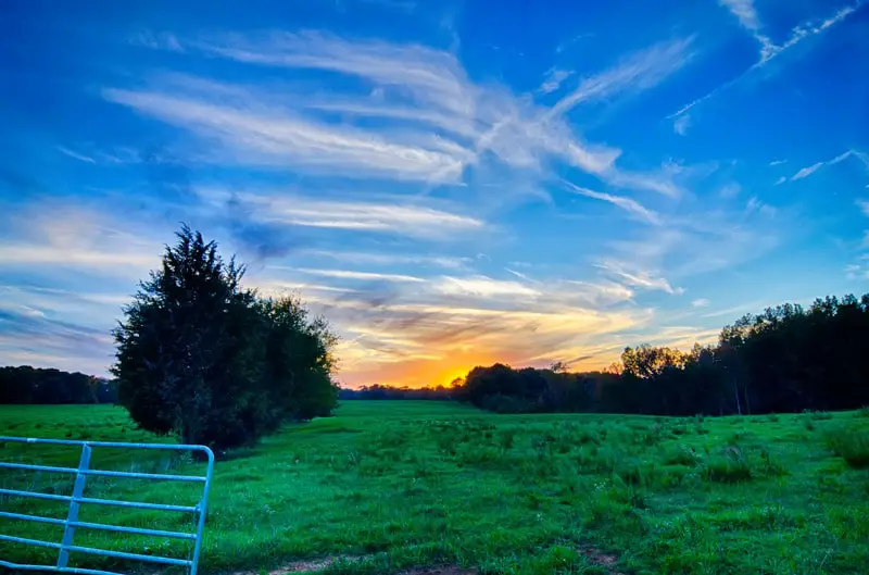 Green field with sunset 