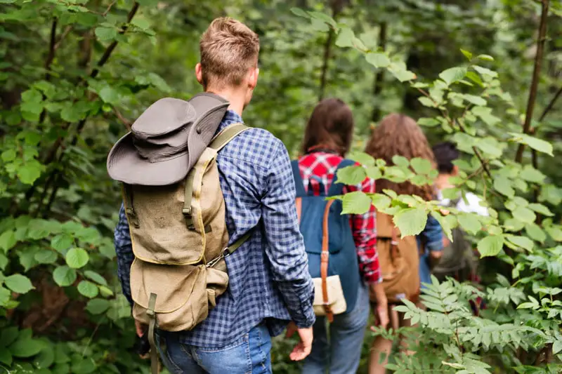 Children walking in the woods