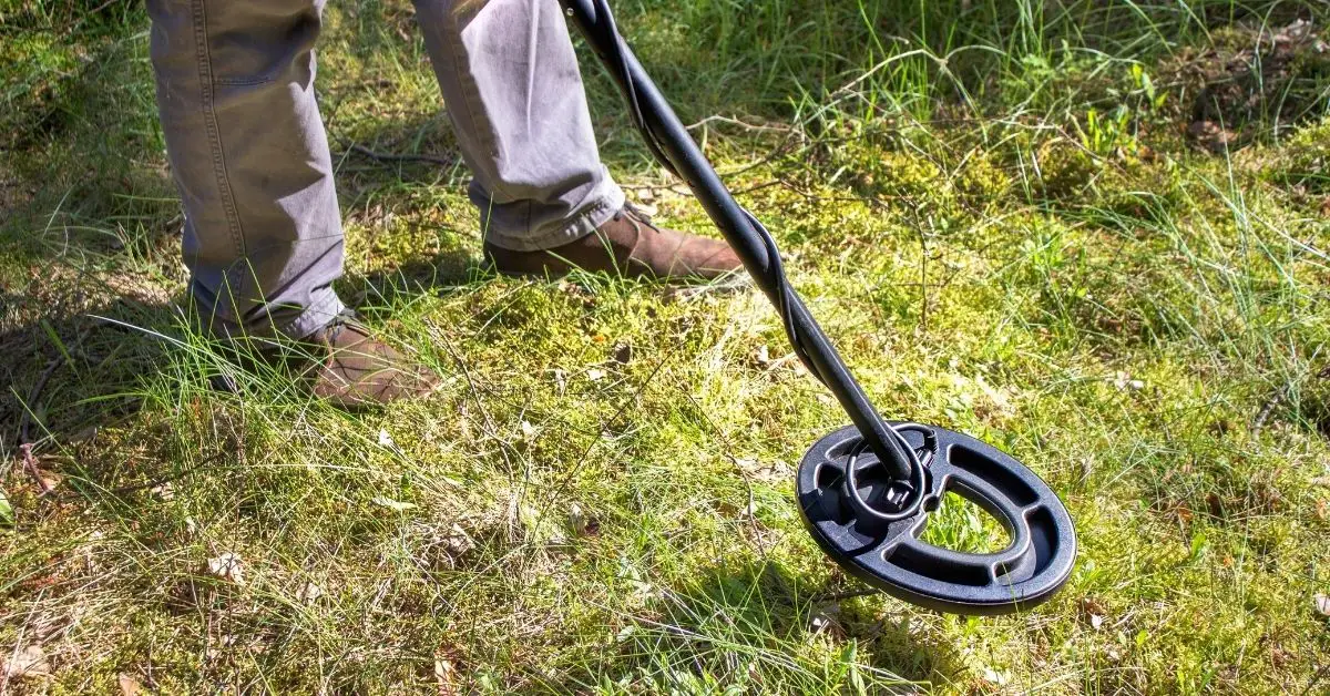 metal detector