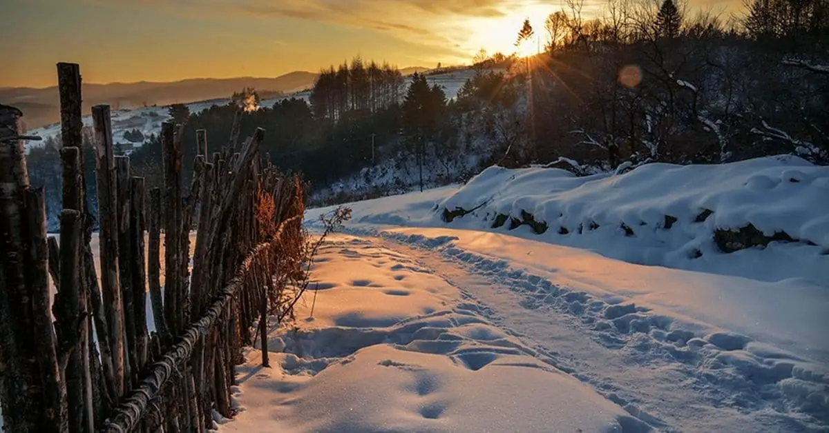 Wooden fence and snowy walkway