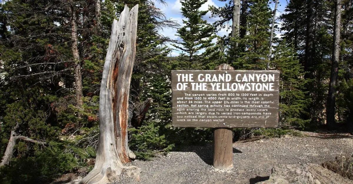 The Grand Canyon of Yellowstone.
