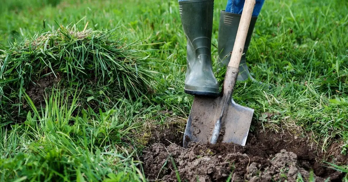 Person digging with shovel