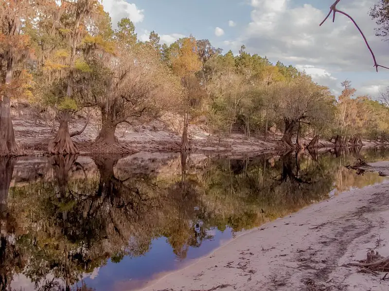 Swanee River in Florida