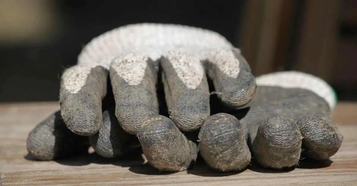 Pair of gloves on a table.