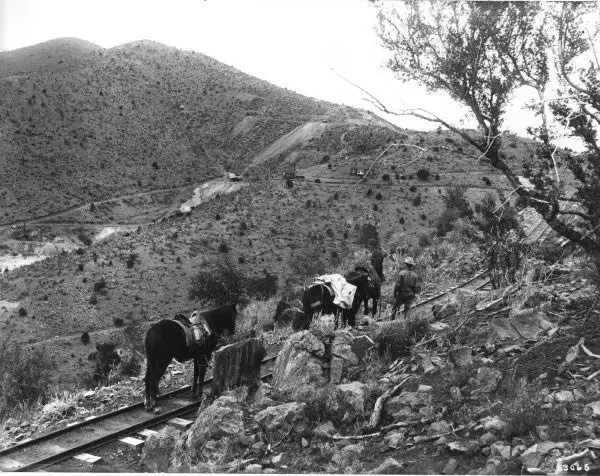 Pinos Altos Railroad