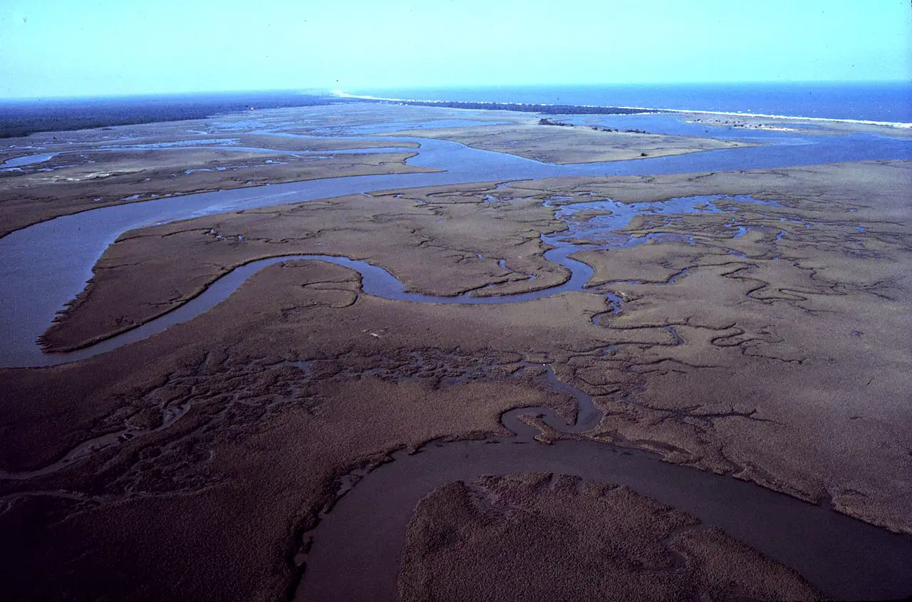 Aerial View of North Inlet of Winyah Bay