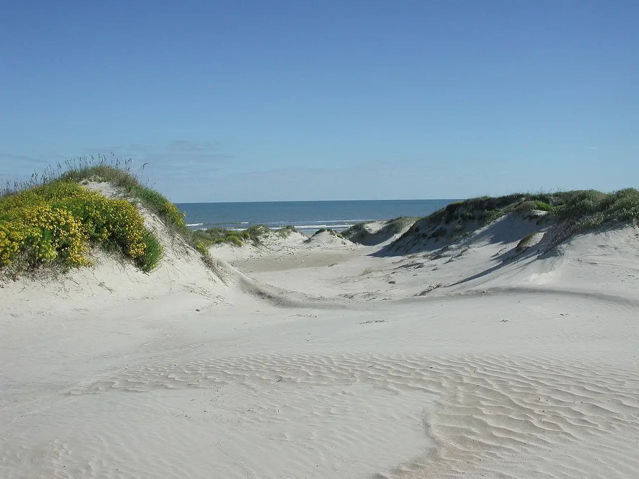 Padre Island Sand Dunes