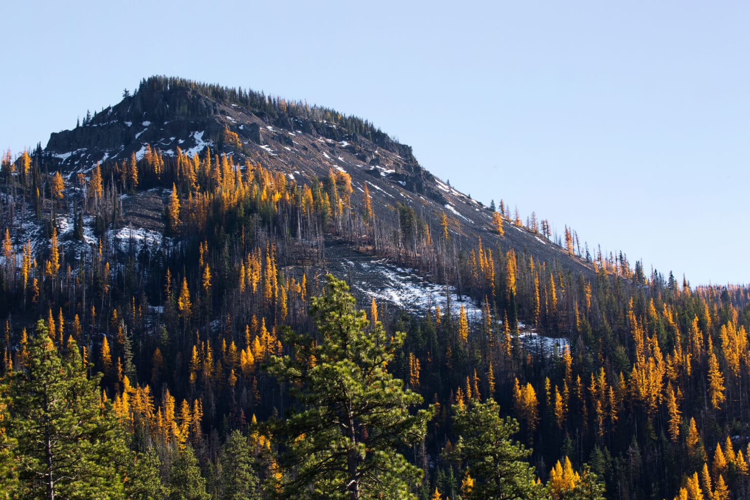 14 Lost Treasures of Washington State