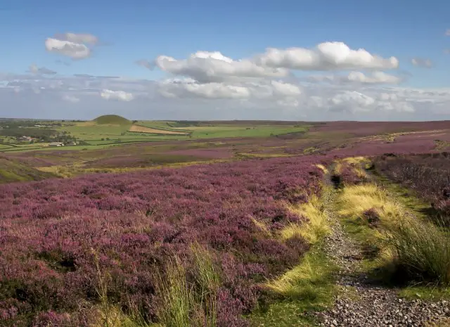 North York Moors