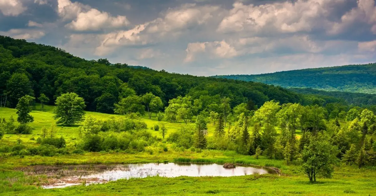 Canaan Valley State Park