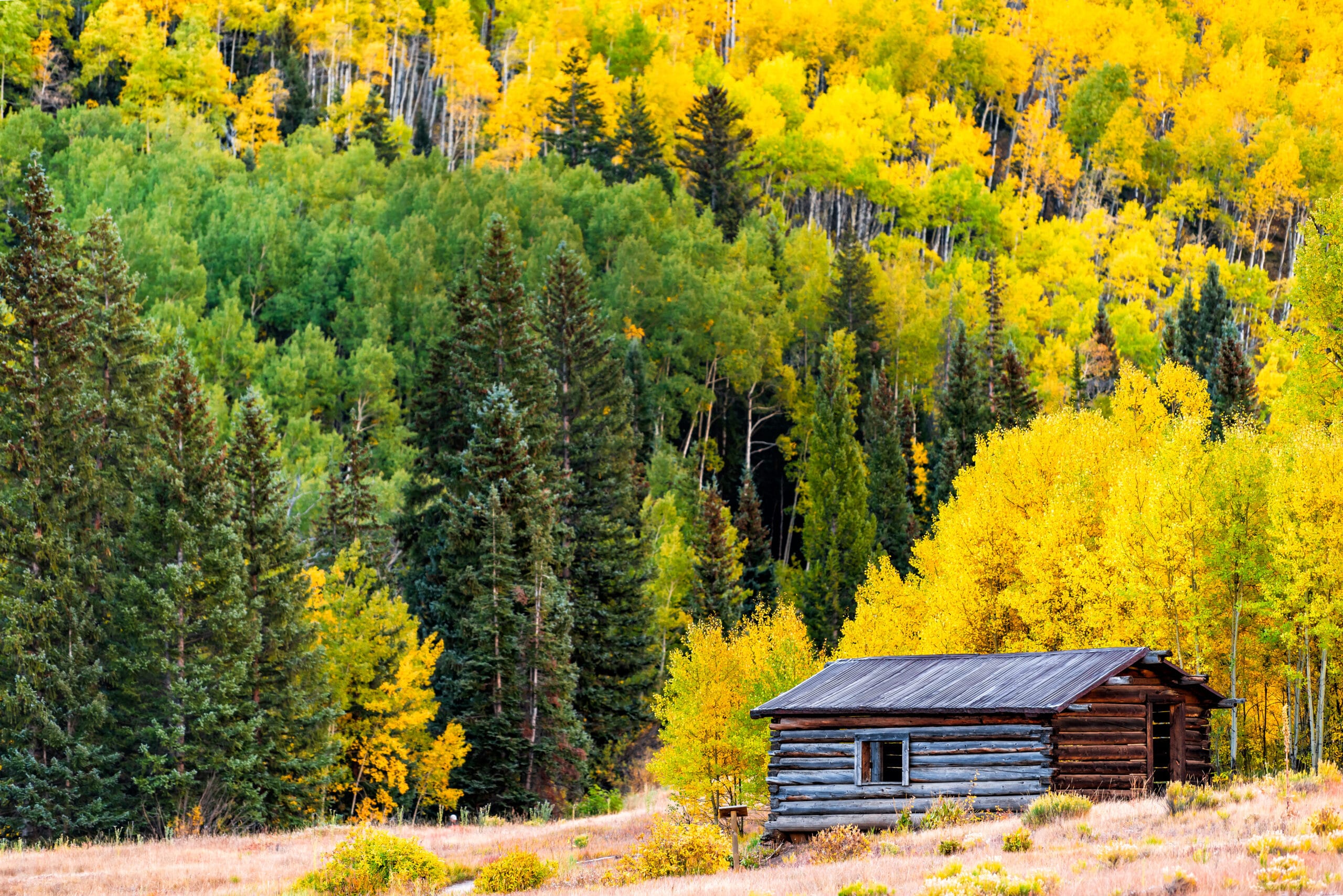 Old Miners Cabin